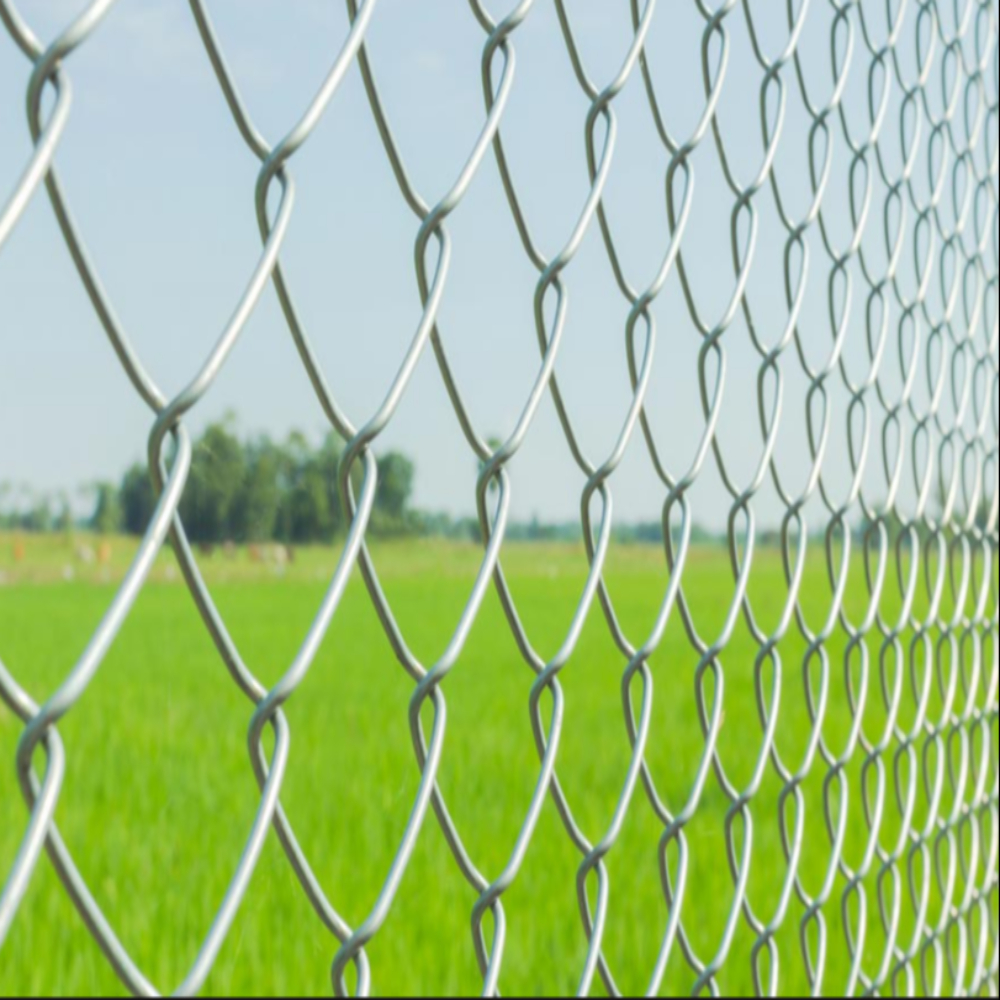 Security Fencing System Image 2